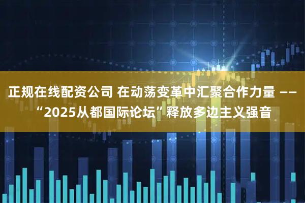 正规在线配资公司 在动荡变革中汇聚合作力量 ——“2025从都国际论坛”释放多边主义强音